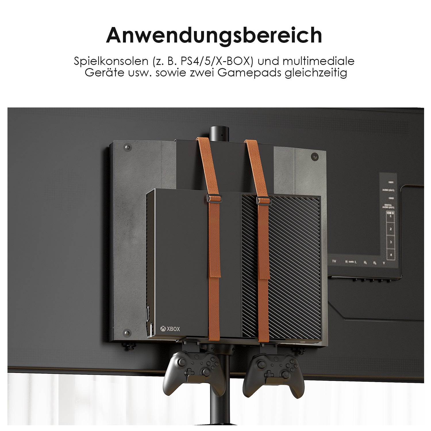 Picasso Gaming Console Storage Bracket